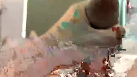 rowan691 online show from March 14, 12:50 am