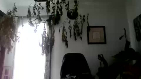 Roy Murrin online show from October 10, 8:13 pm