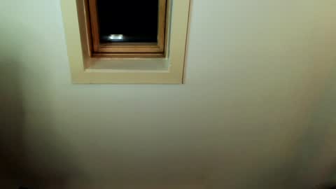 Luffy online show from January 2, 4:24 pm