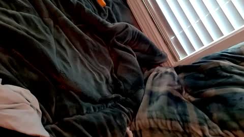 RFC666 online show from February 7, 3:41 pm