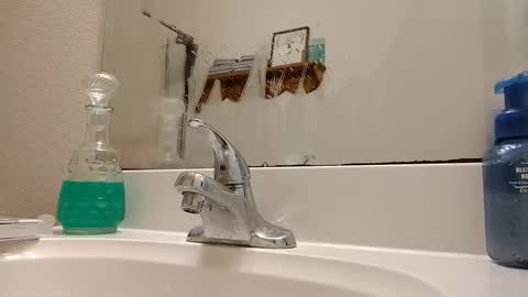 ryanihde2025 online show from February 12, 11:00 pm