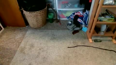 s_t_u_d_420 online show from April 16, 9:39 pm