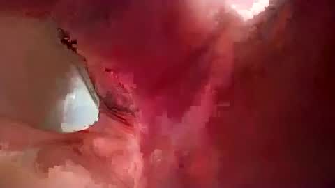 salmonman1305 online show from December 23, 5:32 pm