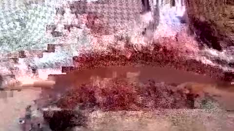 sam223382879 online show from January 10, 8:29 am