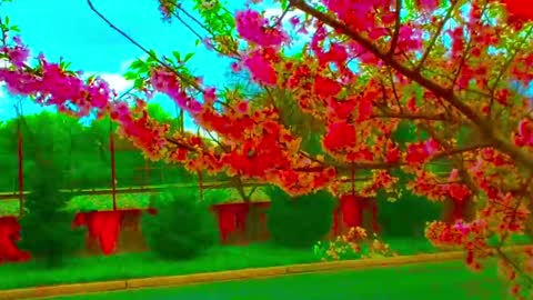 OmniNegate online show from September 22, 4:45 am