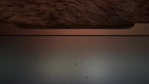 Morvoys online show from April 28, 6:56 pm