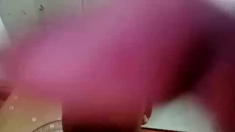 santichai561323 online show from February 28, 10:30 am