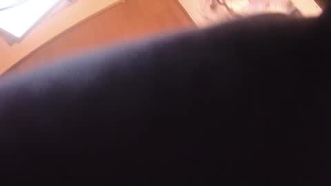 Snapshot of saugeil123 chatting on March 2, 9:08 pm saugeil123 online show from March 2, 9:08 pm