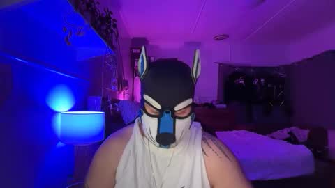 Sunny Coast online show from March 15, 2:45 pm