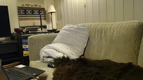 Scand online show from November 20, 7:56 pm