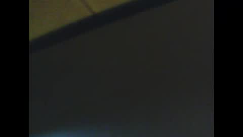 schnibschnab online show from January 13, 3:33 am