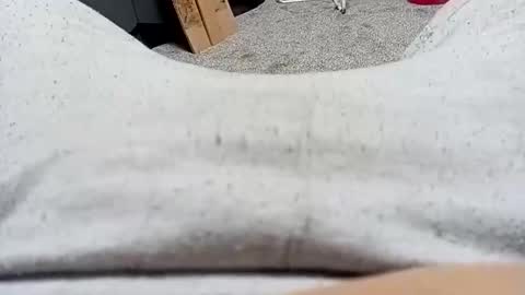 scotycar0408 online show from February 15, 7:25 am