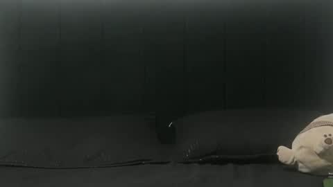 Sebastiano online show from February 25, 3:20 am