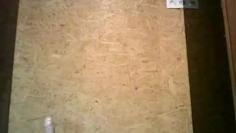 secretbeer online show from November 13, 8:41 am