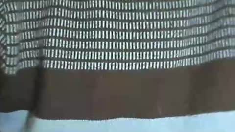 selim selim online show from November 14, 10:22 pm