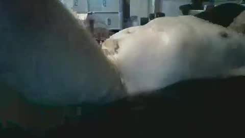 sexboy1437 online show from November 24, 10:16 am