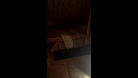 Smooth bi guy online show from April 8, 9:19 am