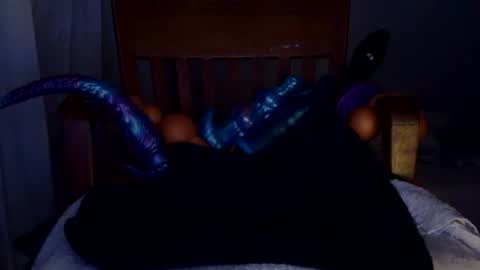 shakespeareisahomie online show from February 4, 3:45 am