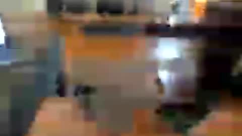 shedor85 online show from June 27, 2:58 am