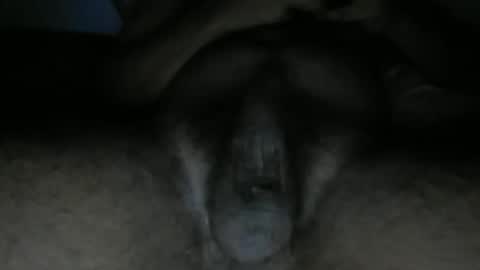 shorthawkey online show from November 13, 4:06 am