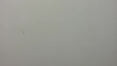 show_on_for_you online show from March 24, 9:19 pm