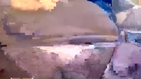 showsme online show from October 20, 6:50 am