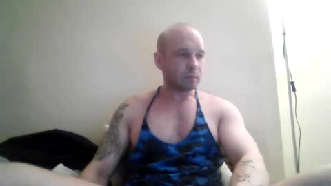 sia355 online show from February 22, 3:43 pm