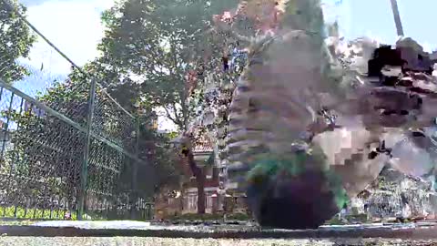 siriss_boyrag online show from January 19, 5:28 pm