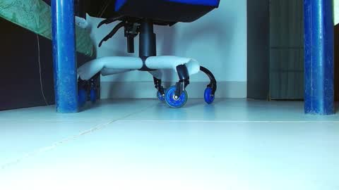 skinny marked online show from January 17, 4:26 pm