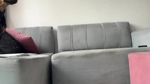 skinnylatin69 online show from February 3, 6:17 pm