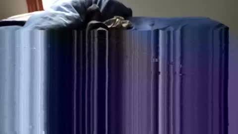 Snapshot of slappincheeks299 chatting on October 28, 10:23 pm slappincheeks299 online show from October 28, 10:23 pm