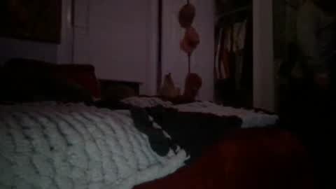 Snapshot of sleepymaneb chatting on October 6, 2:05 am sleepymaneb online show from October 6, 2:05 am