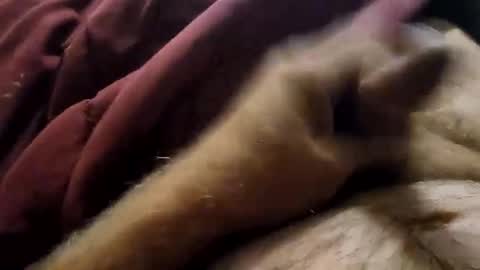 slitlicke69696969 online show from September 19, 1:55 pm