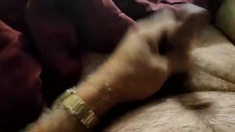 slitlicke69696969 online show from September 21, 10:37 am