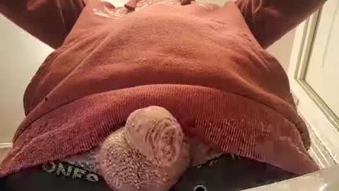 smallone8825 online show from December 24, 10:44 am