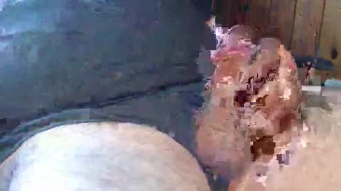 Snapshot of sn0man69 chatting on December 2, 7:14 pm sn0man69 online show from December 2, 7:14 pm