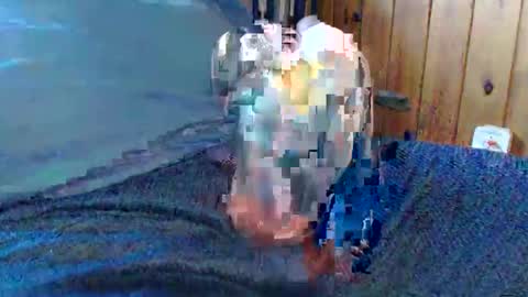 Snapshot of sn0man69 chatting on December 13, 6:49 pm sn0man69 online show from December 13, 6:49 pm