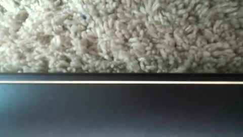 Snapshot of snowman_love chatting on September 10, 8:51 pm snowman_love online show from September 10, 8:51 pm