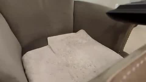 snurtle online show from December 2, 1:30 am