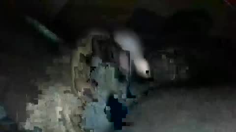 source1012 online show from December 12, 10:13 am