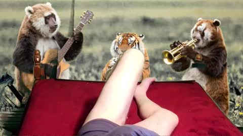 soymigo online show from February 11, 5:23 am