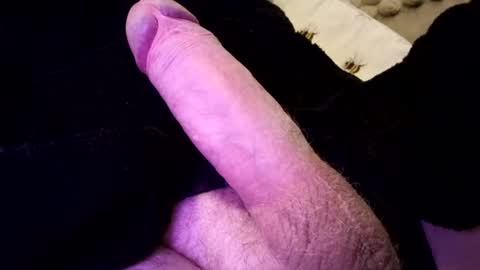 Snapshot of species98 chatting on January 8, 9:21 am species online show from January 8, 9:21 am