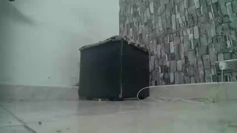 sr master cum its my old account online show from December 28, 2:11 am