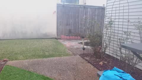 srtxshow online show from February 5, 3:20 pm