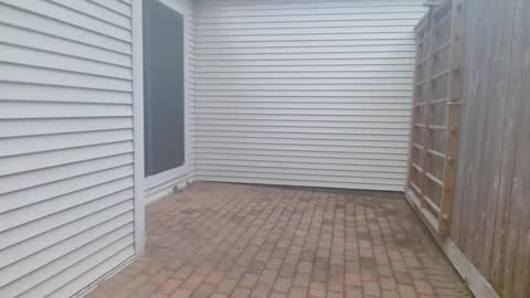 srtxshow online show from March 3, 11:12 pm