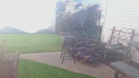 srtxshow online show from September 26, 2:37 pm