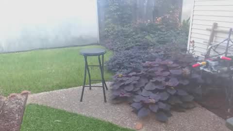 srtxshow online show from October 16, 1:41 pm