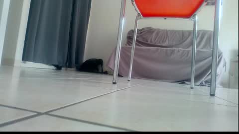 ssenzo online show from December 21, 2:14 pm