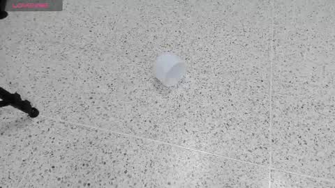 Snapshot of stanlycupper333 chatting on March 1, 11:06 am Stanly online show from March 1, 11:06 am