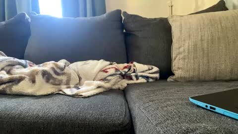 Snapshot of starr3095 chatting on February 27, 3:05 pm starr3095 online show from February 27, 3:05 pm